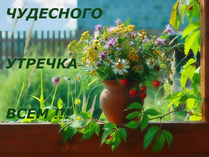 http://img0.liveinternet.ru/images/attach/c/6/90/39/90039848_b53bc06fc622.jpg