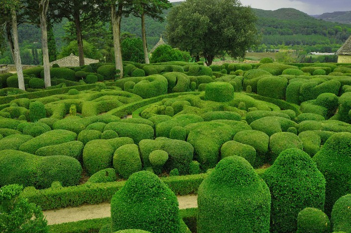 Marqueyssac (5) (700x464, 166Kb)