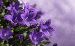  917514365 (700x437, 179Kb)