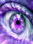  1310381651_v-sirenevoj-bezdne (240x320, 67Kb)