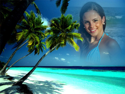 palmy500 (400x300, 79Kb)