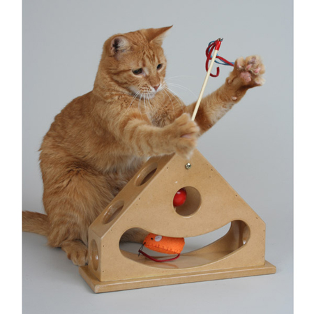 Интересные игрушки для котят