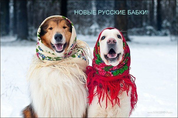 getImage (14) (604x402, 60Kb)