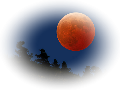0_9fc3a_eae8a7bb_L (500x375, 149Kb)
