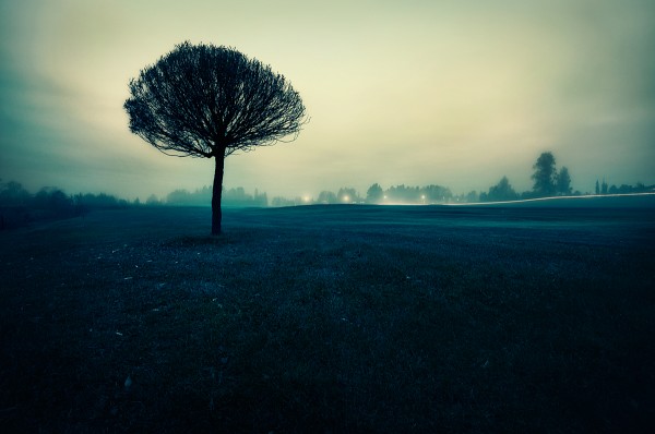 0 (600x398, 41Kb)