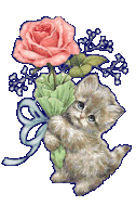 котенок с розой мал (126x190, 23Kb)
