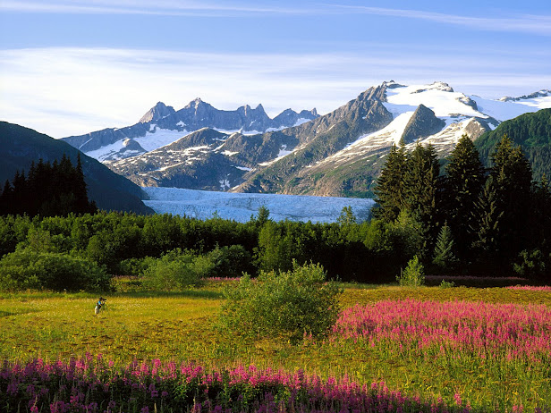 A Photographer's Canvas, Mendenhall Glacier, Alaska (616x462, 148Kb)