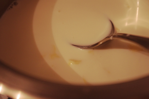 IMGP2063 (500x332, 89Kb)