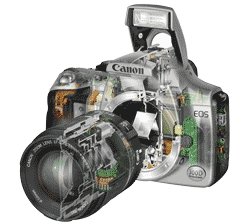 4215108_foto2 (250x224, 13Kb)