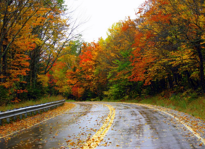 4741324_79510725_All_sizes__Autumn_in_Maine__Flickr__Photo_Sharing (700x507, 929Kb)