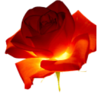 96 (200x183, 31Kb)