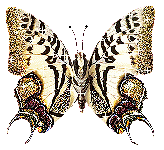 97d5eb4bf04f (164x150, 28Kb)