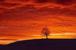  amazing_photos_of_nature_06 (700x460, 37Kb)
