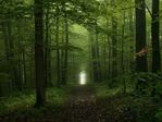  amazing_photos_of_nature_13 (700x525, 79Kb)