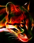  1290249378_f_19961664 (570x700, 254Kb)