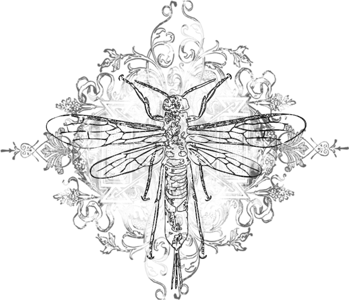 LS-BotanicaAO-Wasp (700x601, 191Kb)
