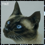 0c785b872c90 (150x150, 17Kb)