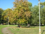 IMG_1855 (700x525, 477Kb)