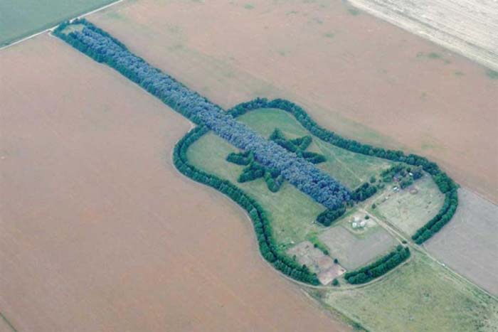 Гитара из 7000 деревьев