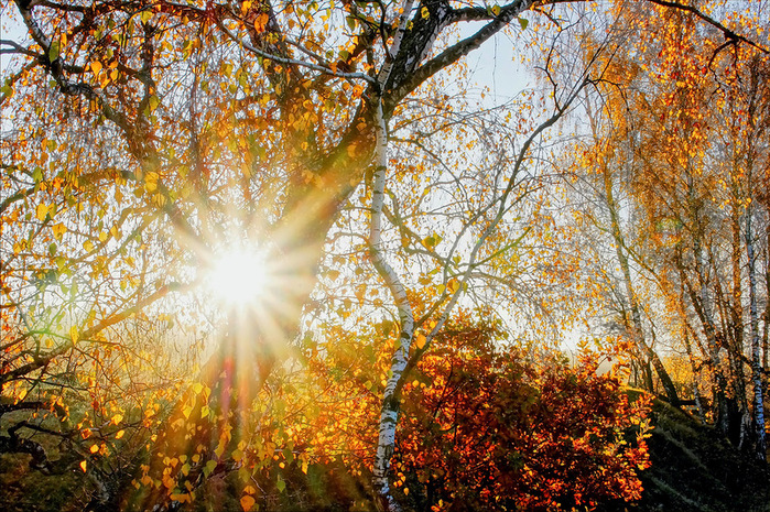 22 (700x465, 337Kb)