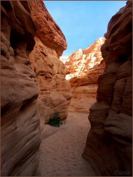 Египетский цветной каньон 4 (525x700, 304Kb)