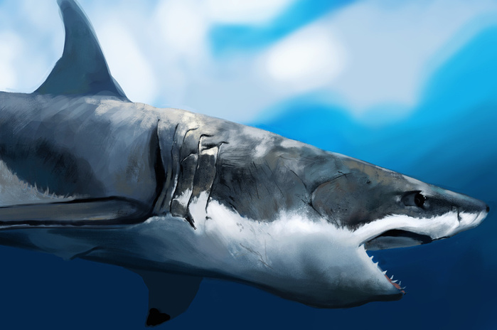 320874-alexfas01 (700x464, 88Kb)