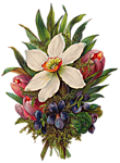 0_870bf_509bcdb0_S (110x150, 32Kb)