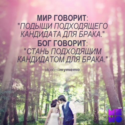 Фикус каучуконосный - комнатный долгожитель Уход за фикусом каучуконосным Универ: Серия 145 смотри на ТНТ-Online