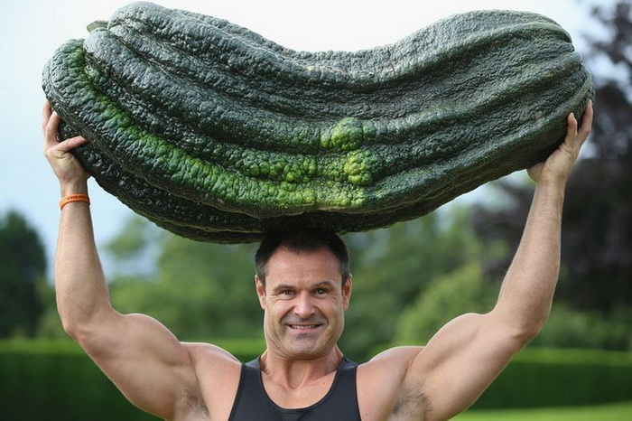 1259869_giantvegetables6 (700x466, 125Kb)