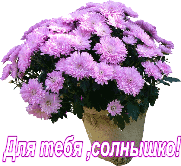 76220866_75864029_cvetuy_dlya_tebya (600x550, 353Kb)
