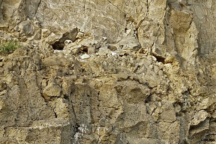 1349419344_03 (700x467, 121Kb)