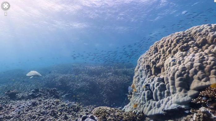 Google добавил к Картам подводные панорамы. Фотографии, видео