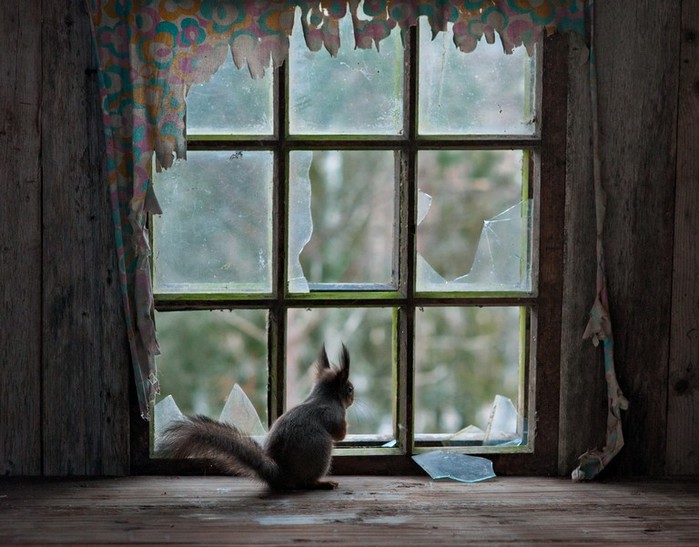 жители заброшенных домов 2 (700x547, 96Kb)