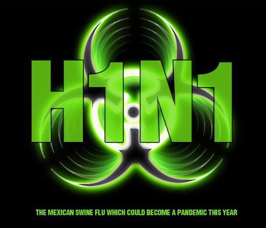 H1N1 (520x445, 31Kb)