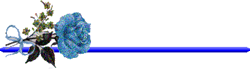 959ff87d274ba6ef9f5b0e68b089580e (360x100, 59Kb)