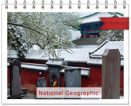 National Geographic/3518263_National_Geographic (434x352, 301Kb)