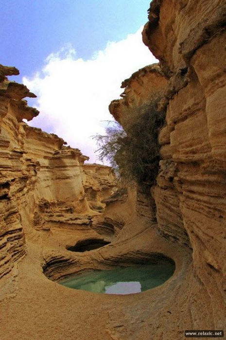 Iran-nature_042 (465x700, 334Kb)