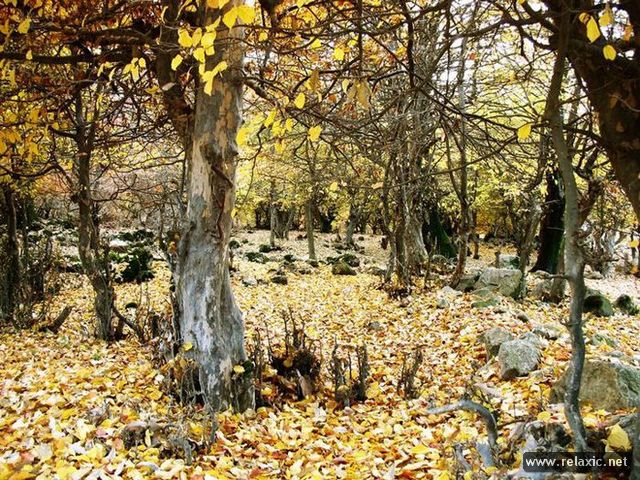 Iran-nature_024 (640x480, 134Kb)
