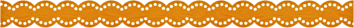PD AA border orange (700x56, 62Kb)