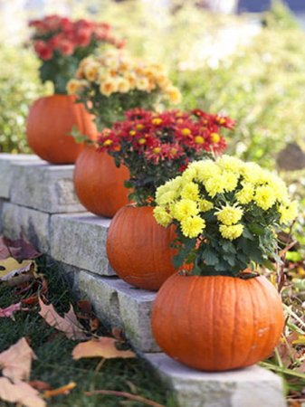 1317153158_pumpkin-as-vase-creative-ideas5 (337x450, 38Kb)