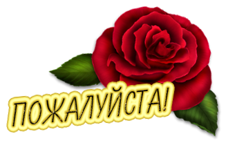 Подарок ребёнку 5 месяцев 13