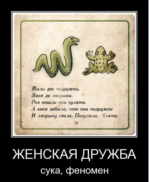 1238435903_5 (482x588, 47Kb)