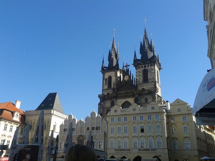 Поделки их бутылок пчела ля дачи фото. Поделки их бутылок пчела ля дачи фото.