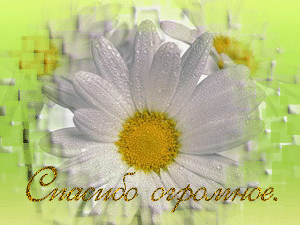 0_941a5_41008be3_orig (300x225, 63Kb)