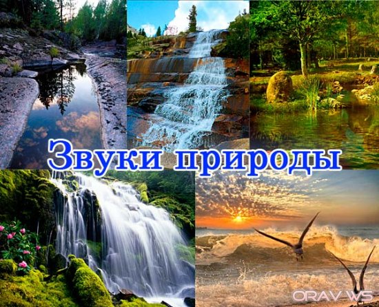 1332713079_600dfghjk487vbn (550x446, 89Kb)