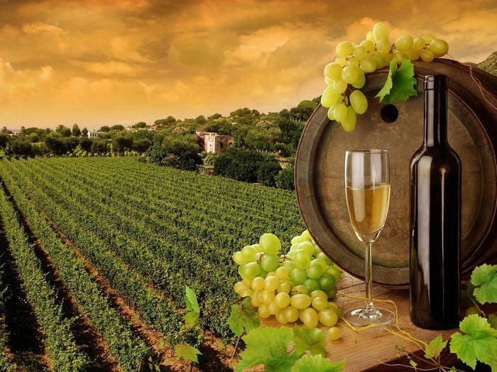 Картинка бутылка, вино, бочка, виноградник, виноград 2560x1600, фото 58023