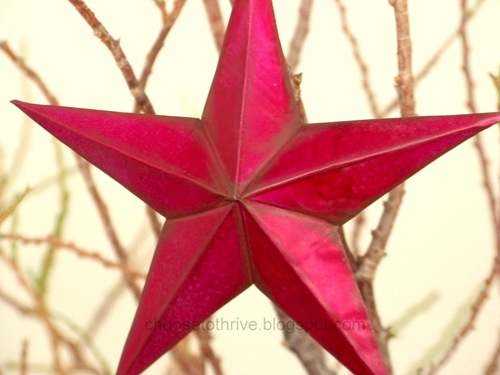 star.51_thumb[2] (500x375, 45Kb)