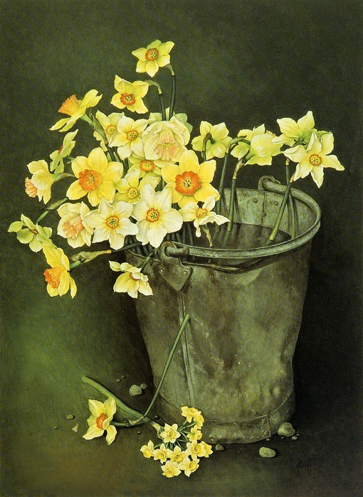 BUCKET%20OF%20MIXED%20DAFFODILS%20AND%20NARCISSI%2076x56%20cmGouache1989 (510x700, 121Kb)