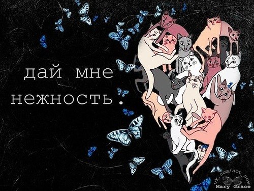 UPpQ1ISFLzs (500x375, 66Kb)