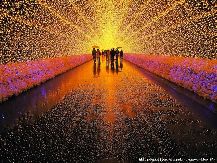 интересное/4800467_1352250385_713897dab7 (700x525, 394Kb)